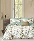 Florida's Yana Double Bed 100% Cotton Imported Bedsheet Set with 2 Pillow Covers
